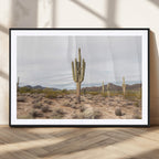 Saguaro Cactus Wall Art | Framed Desert Canvas Artwork