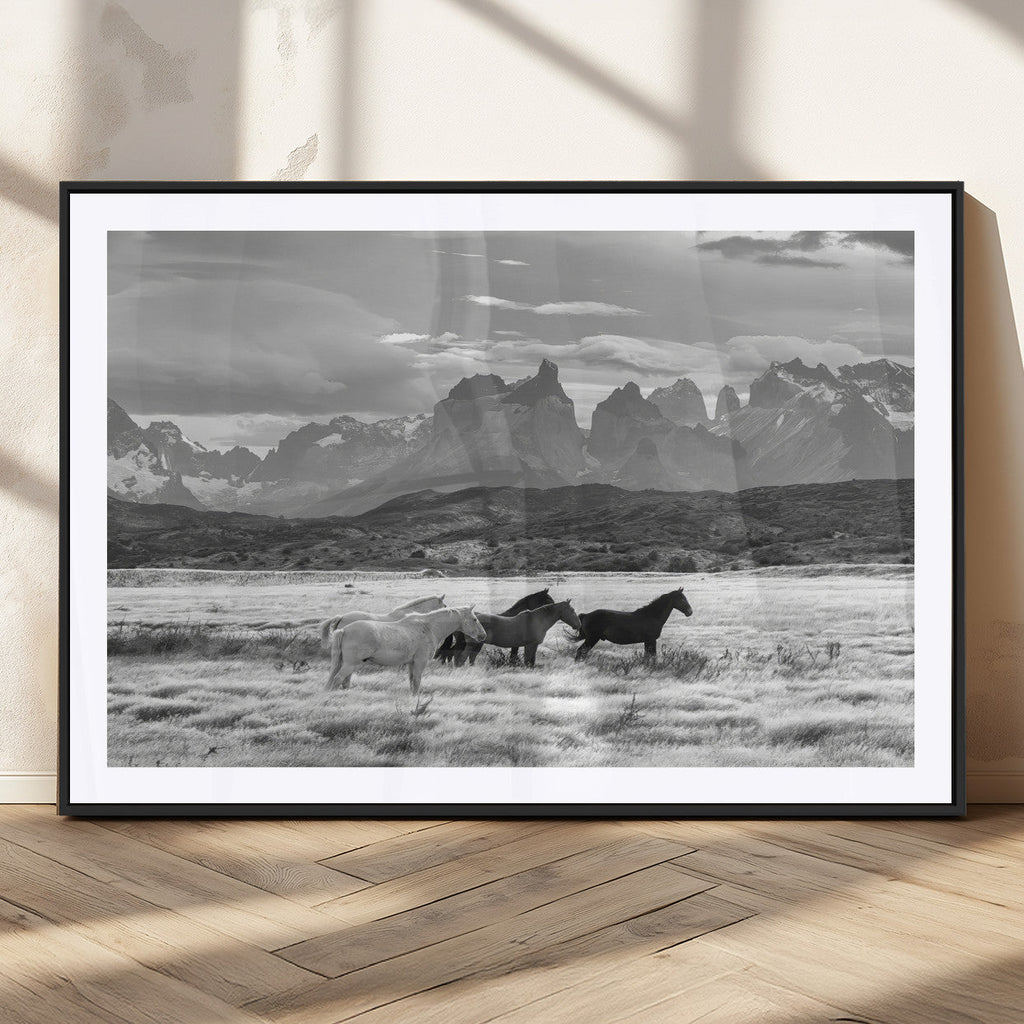 Wild Horses Wall Art | Framed Black White Mountain Canvas