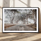Cypress Tunnel Wall Art | Framed Misty Road Canvas Artwork