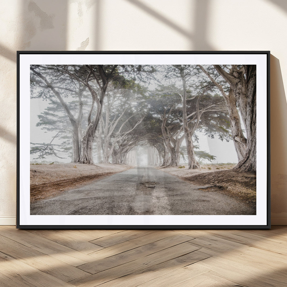Cypress Tunnel Wall Art | Framed Misty Road Canvas Artwork