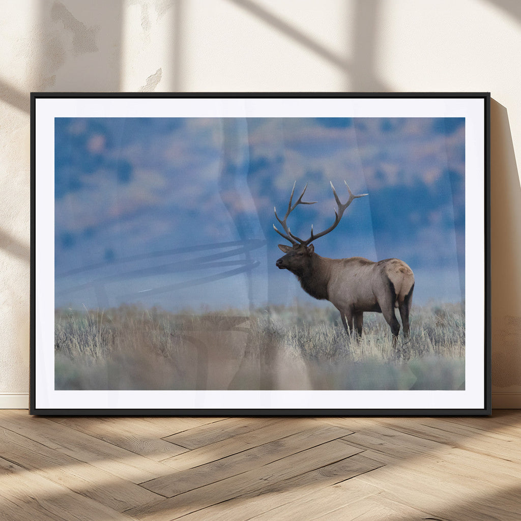 Elk Wall Decor Canvas Print, Framed Rustic Wildlife Art, Mountain Elk Landscape