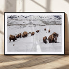 Bison Herd Wall Art Canvas Print, Framed Western Wildlife Decor, Snowy Mountain Valley