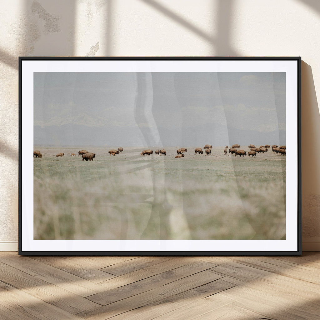 Bison Herd Wall Art Canvas Print, Framed Western Landscape with Bison in Grassland
