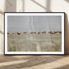 Bison Herd Wall Art Canvas Print, Framed Western Landscape with Bison in Grassland