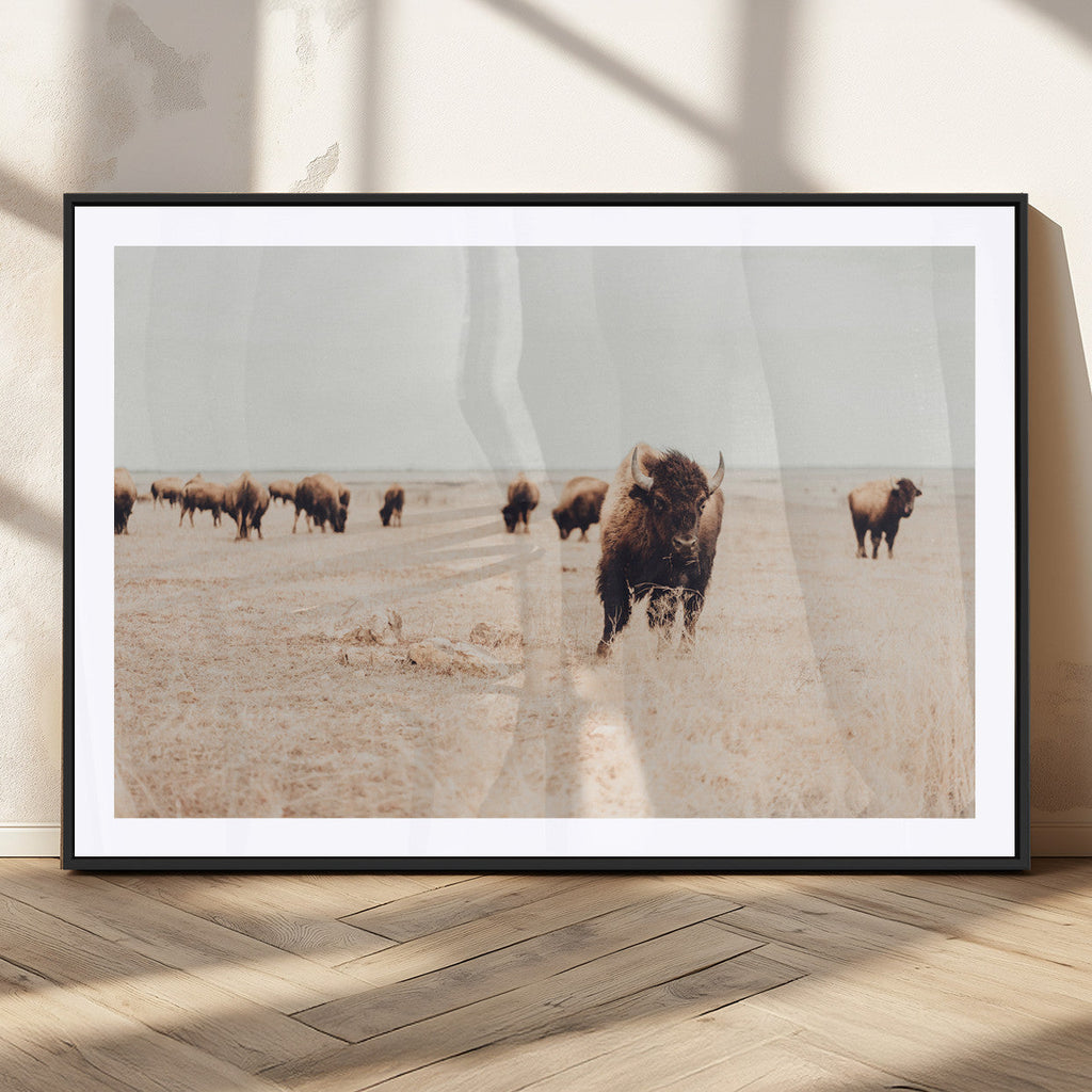 Bison Herd Wall Art Canvas Print, Framed Western Prairie Serenity