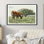 Texas Longhorn Wall Art Canvas Print, Rustic Western Ranch