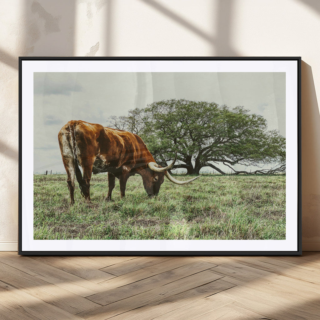Texas Longhorn Wall Art Canvas Print, Framed Rustic Ranch Western Cattle