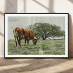 Texas Longhorn Wall Art Canvas Print, Framed Rustic Ranch Western Cattle