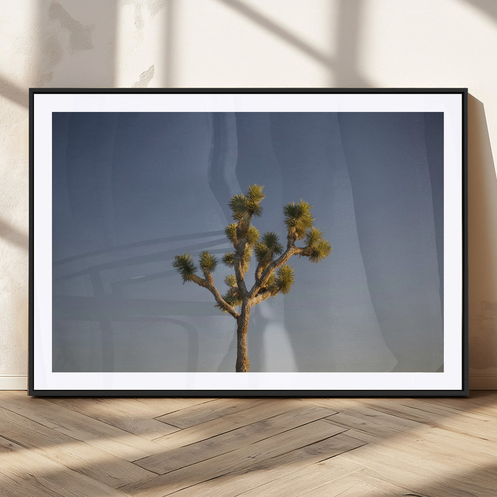 Joshua Tree Wall Art Canvas Print, Framed Southwestern Desert Landscape