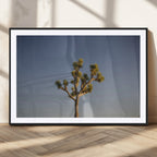 Joshua Tree Wall Art Canvas Print, Framed Southwestern Desert Landscape