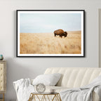 Buffalo Wall Art Canvas Print, Framed Western Wildlife Rustic Prairie Scene