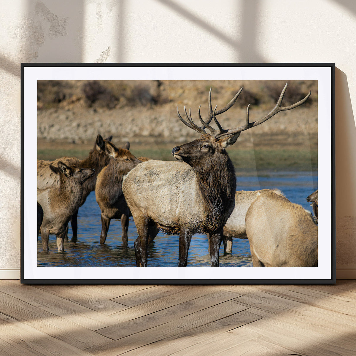 Wild Elk Wall Art Canvas Print, Framed Neutral Wildlife Scene