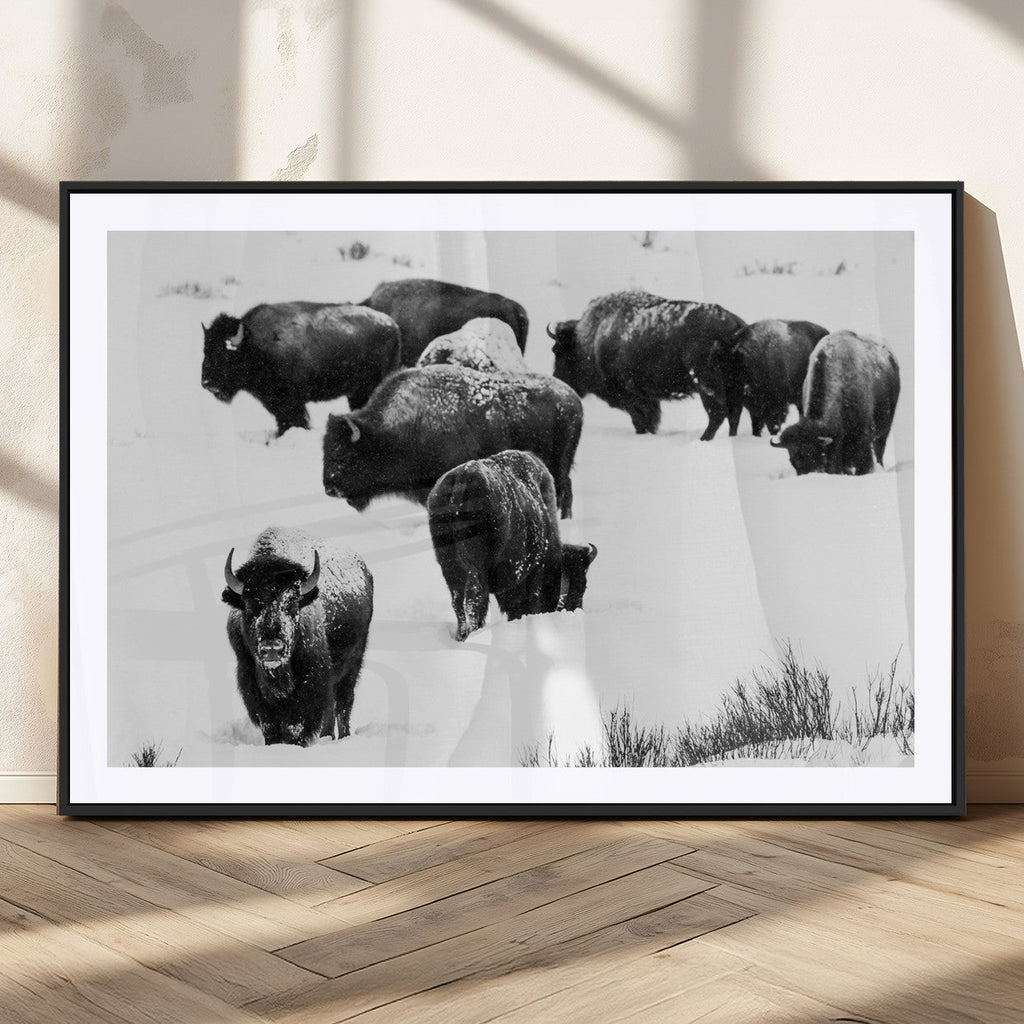 Buffalo Herd Wall Art Canvas Print, Framed Black and White Snowy Landscape