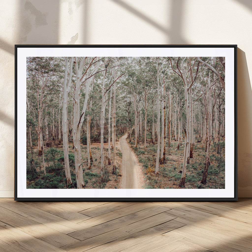 Forest Dirt Road Wall Art Canvas Print, Scenic Woodland Pathway with Tall Trees