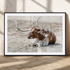 Majestic Longhorn Wall Art Canvas Print, Resting on Sunlit Desert Ground