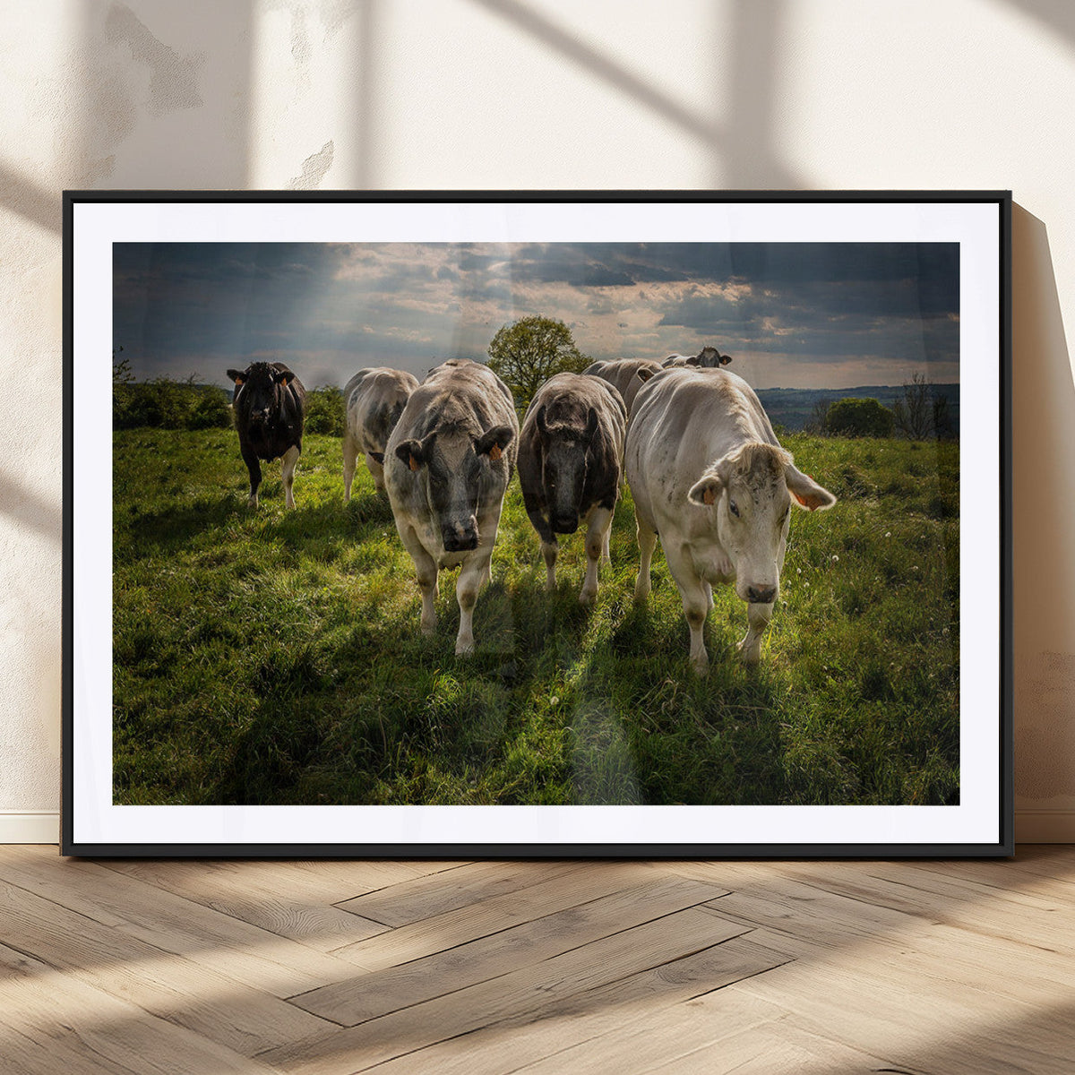 Grazing Cattle Herd Wall Art Canvas Print, Framed Green Pasture Farm Scene