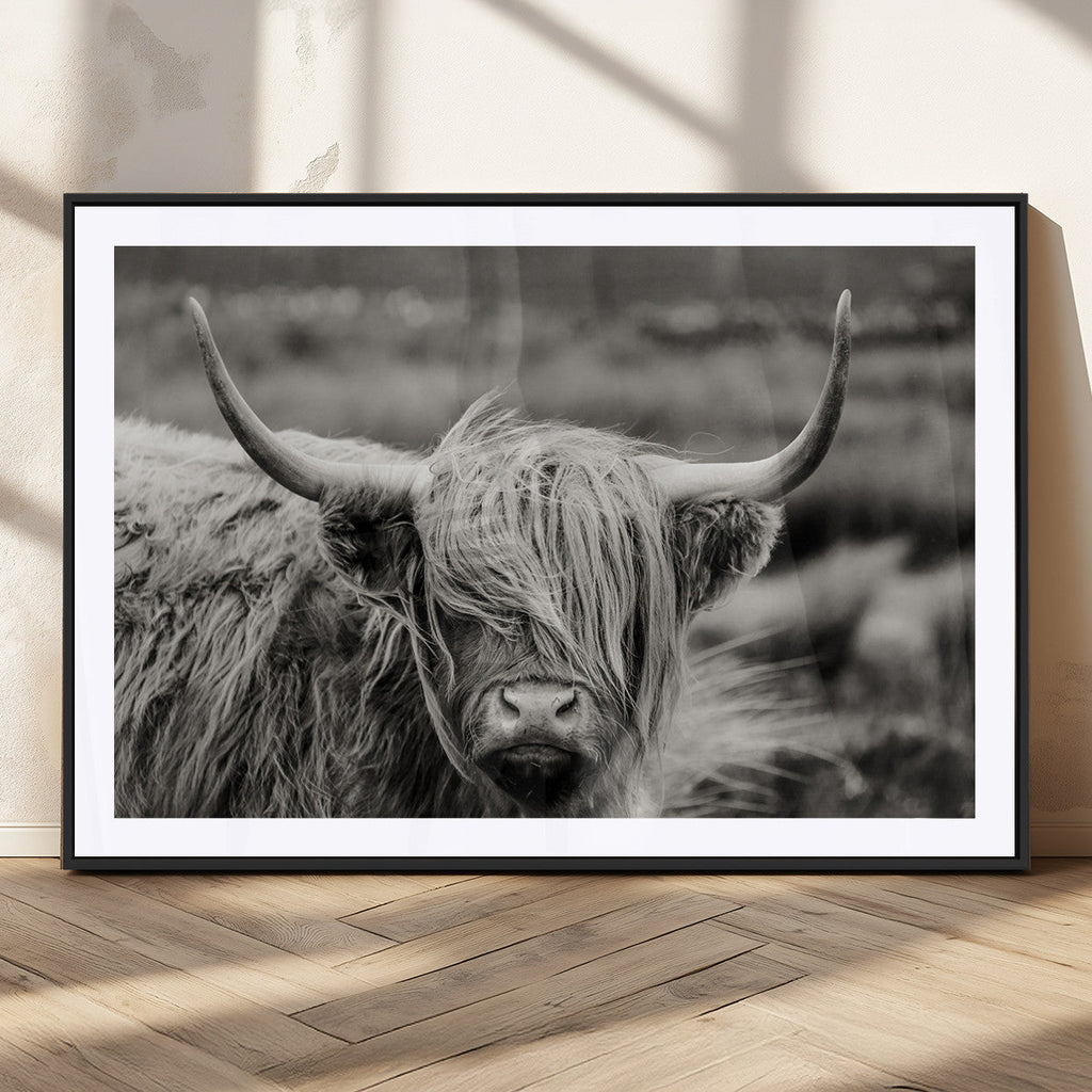 Cow Focus Canvas Wall Art Print