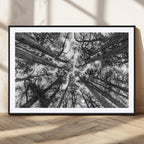 Trees Contemporary Art Canvas Print