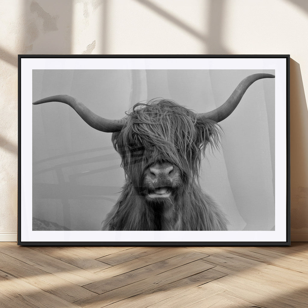 Texas Cow Wall Art Canvas, Texas Longhorn Cattle Canvas Print
