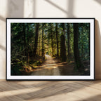 Sunlit Forest Pathway Canvas Print | 3 Panel Large Nature Wall Art