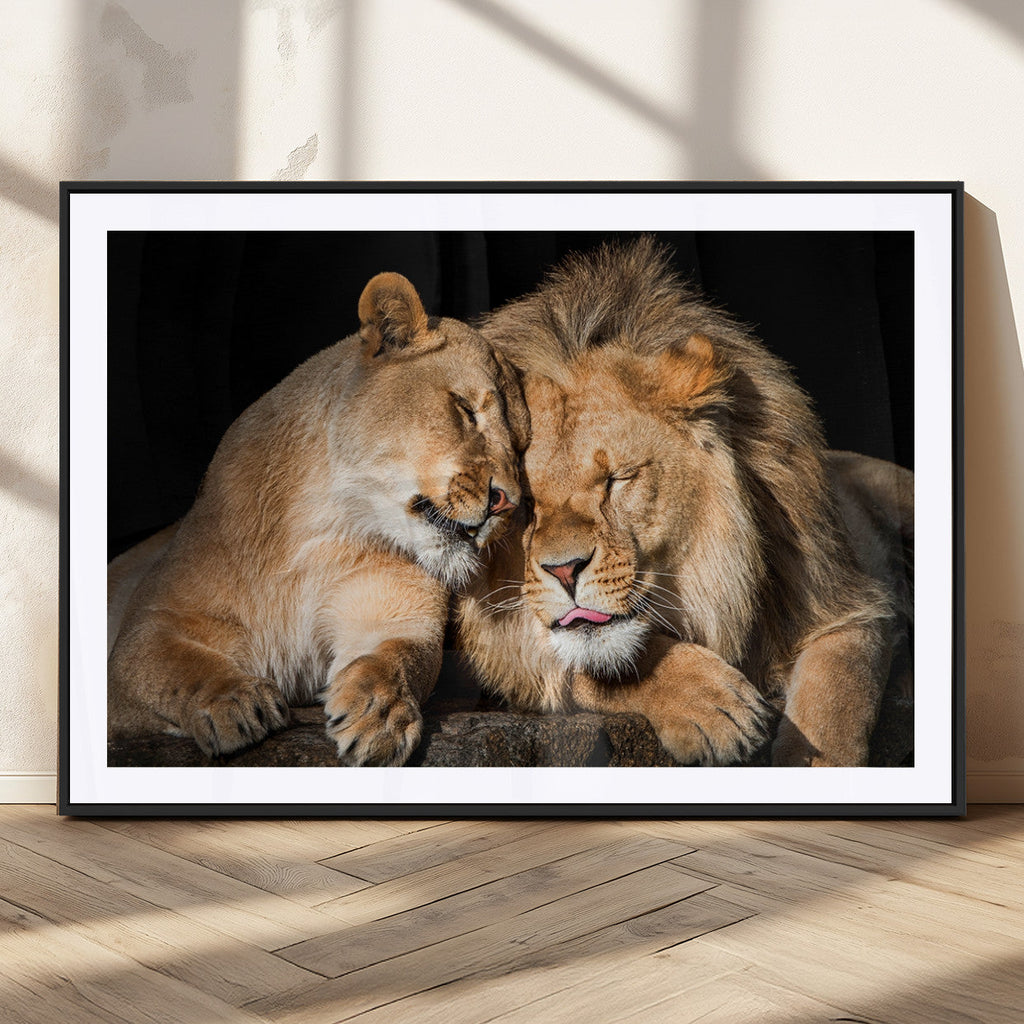 Lion and Lioness Wall Art Canvas Print | African Wildlife Animal Art