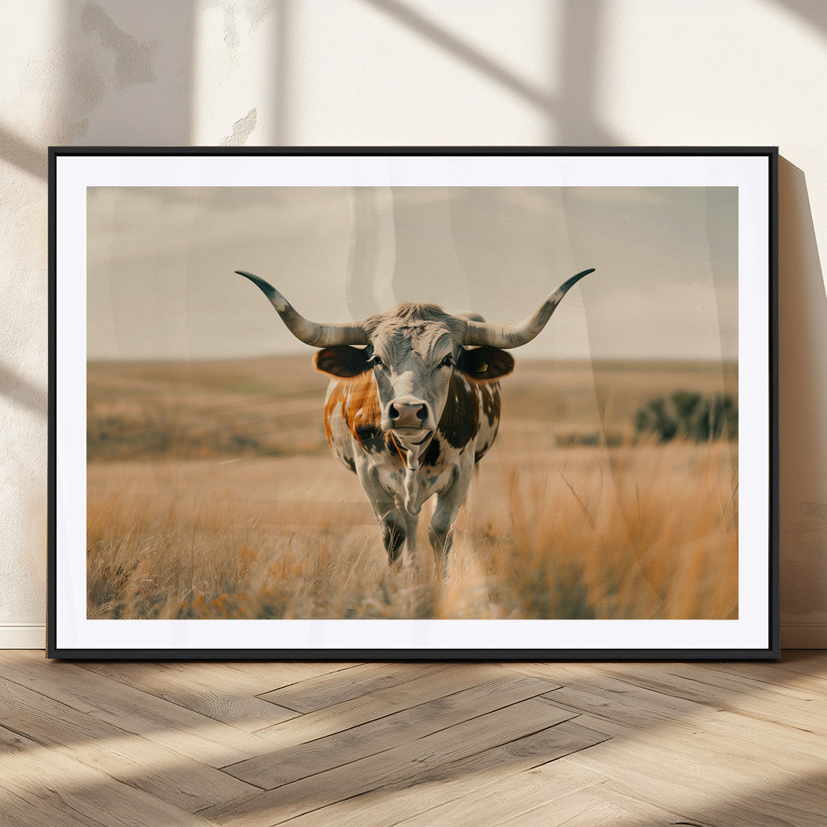 Texas Cow Wall Art Canvas Print for Farm House Wall Decor
