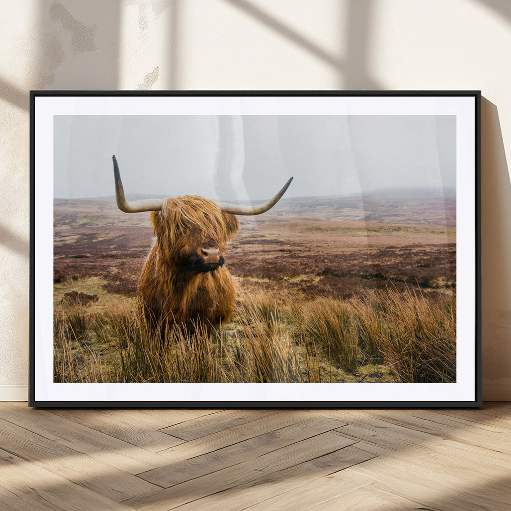 Scottish Highland Cow Canvas Wall Art, Rustic Farmhouse Decor