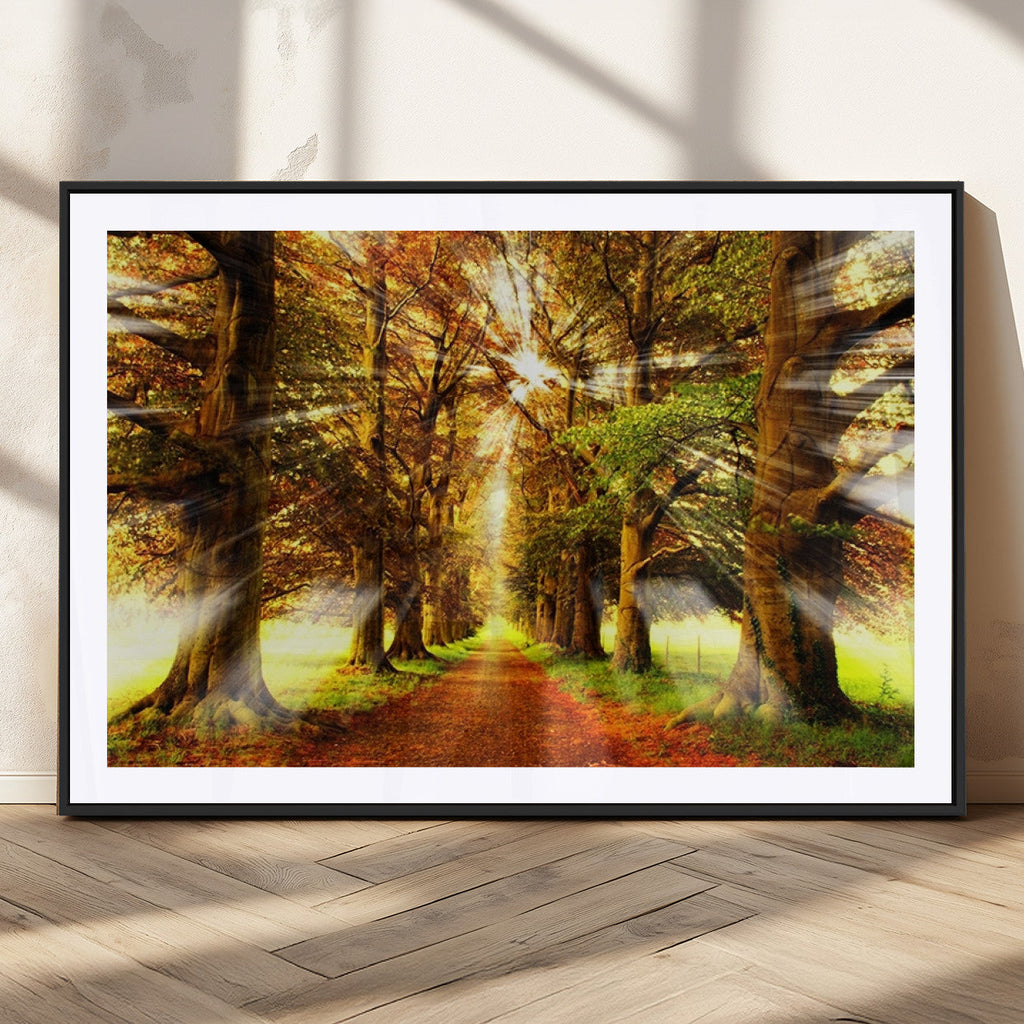 Sunshine in Forest and Trees Wall Art Canvas Print