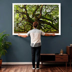 Angel Oak Tree Wall Art Canvas Print | Forest Tree Nature Photography Print
