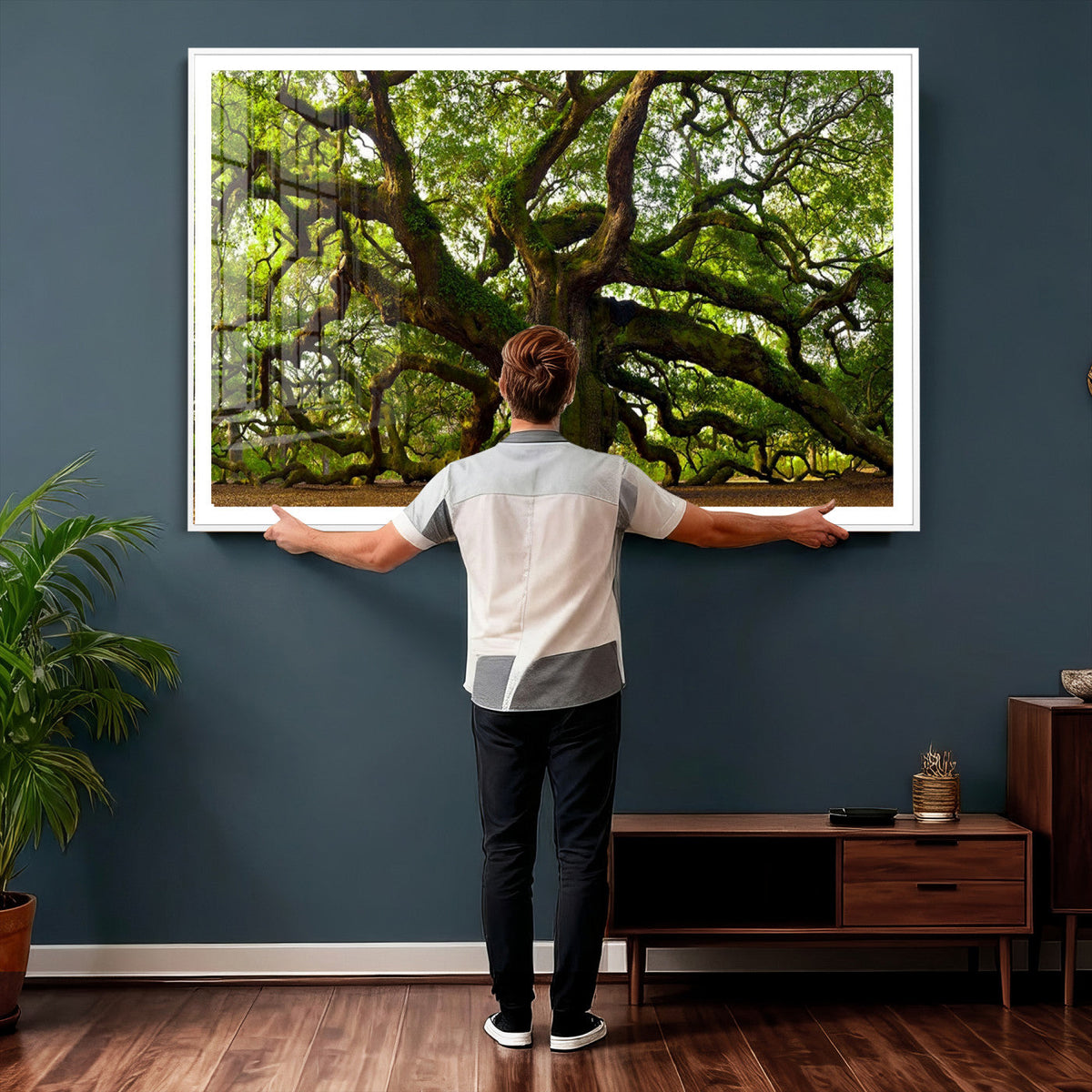 Angel Oak Tree Wall Art Canvas Print | Forest Tree Nature Photography Print