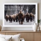 Bison Wall Art Canvas Print, Bison Herd Canvas Wall Art