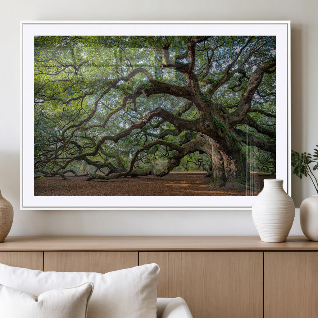 Historic Tree Wall Art | Framed Mossy Branch Canvas Artwork