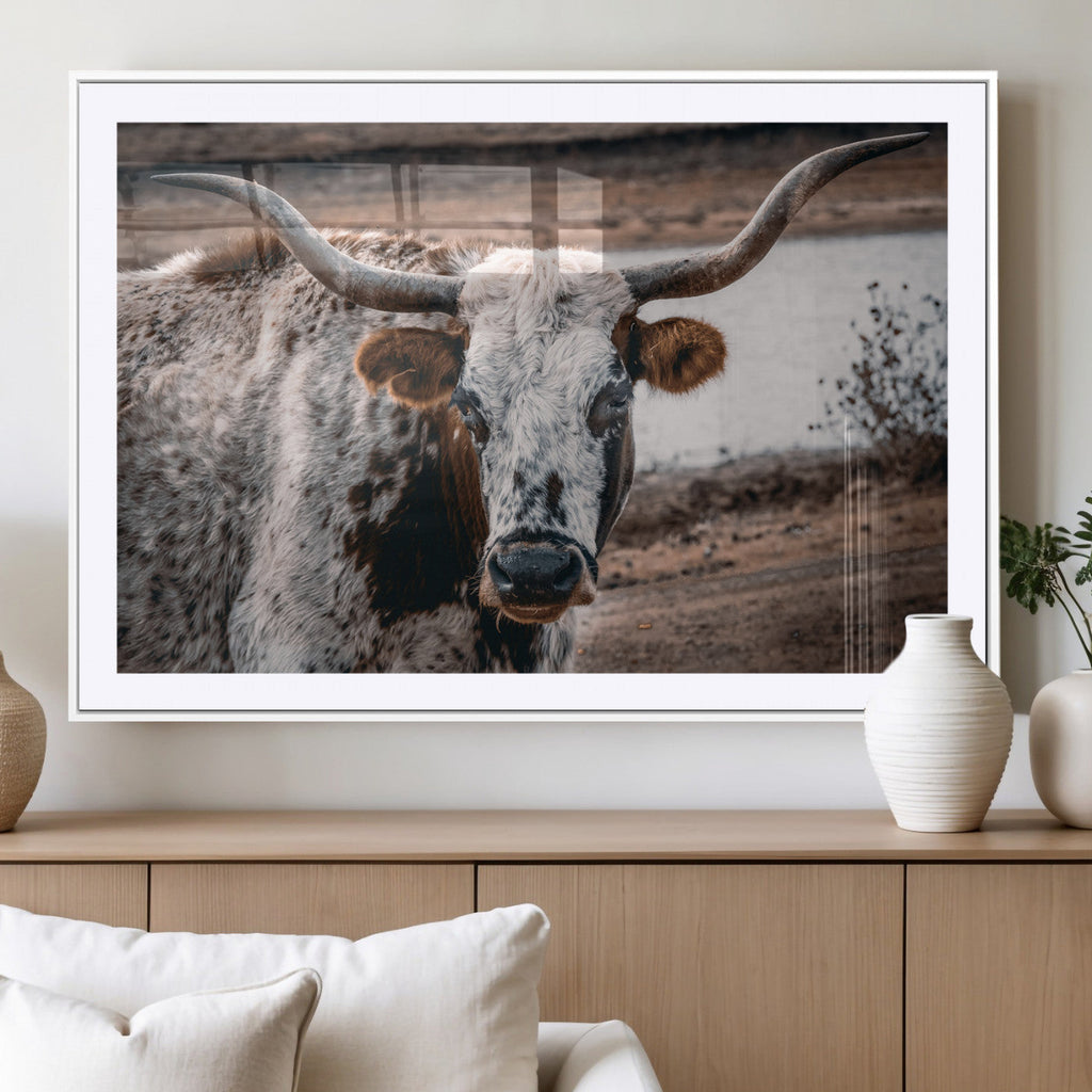 Texas Longhorn Wall Art Canvas Print | Framed Brown and White Spotted Longhorn