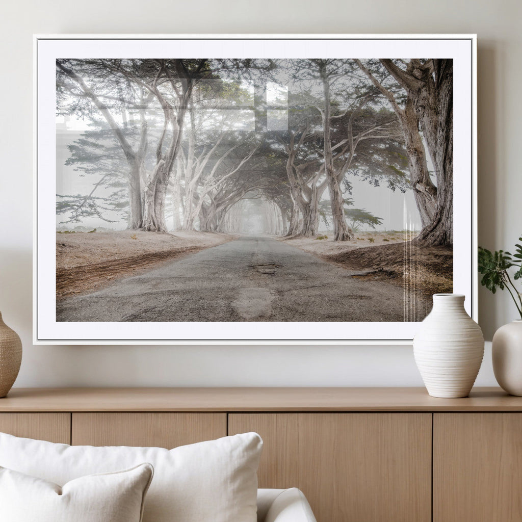 Cypress Tunnel Wall Art | Framed Misty Road Canvas Artwork