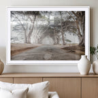 Cypress Tunnel Wall Art | Framed Misty Road Canvas Artwork