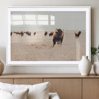 Bison Herd Wall Art Canvas Print, Framed Western Prairie Serenity