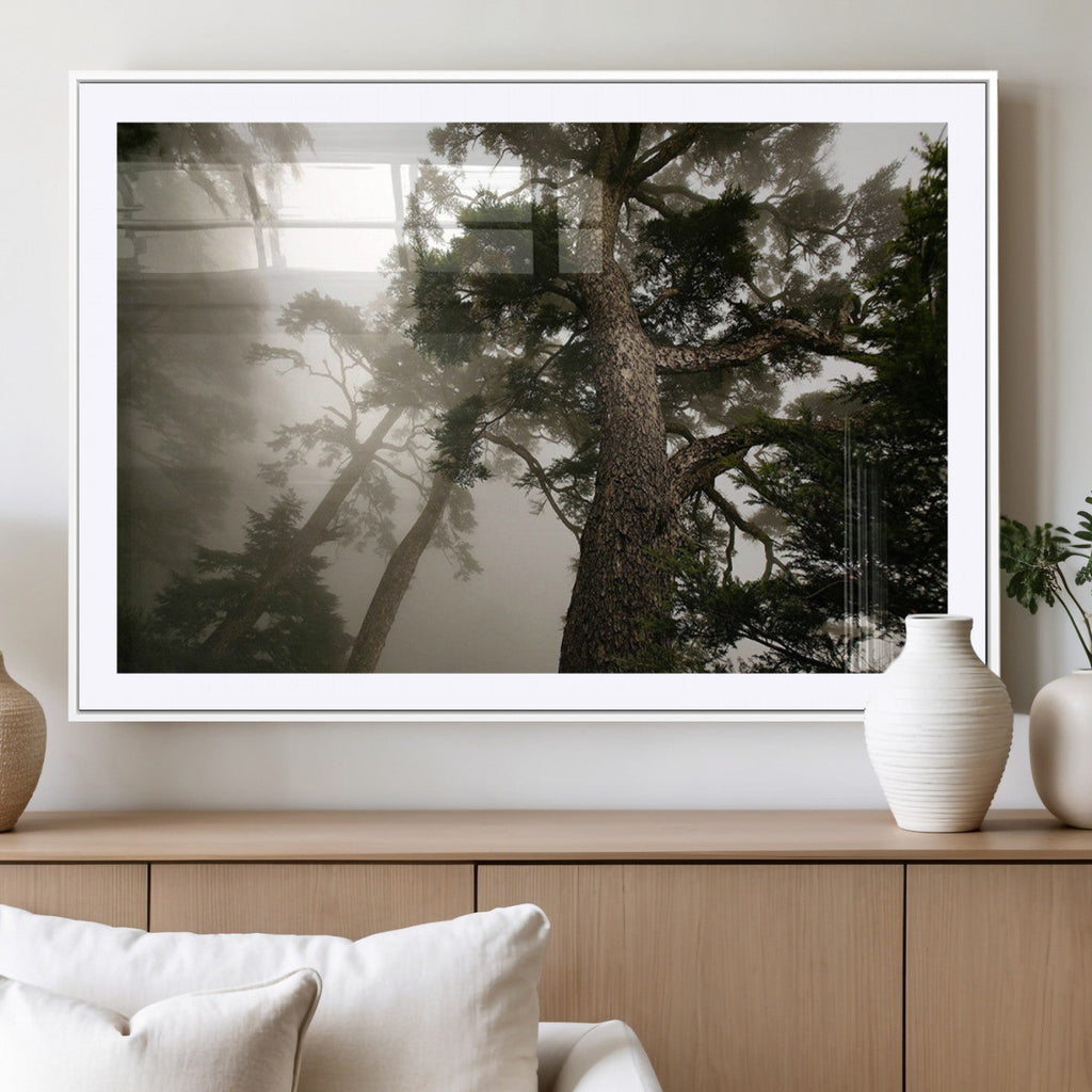 Misty Forest Wall Art Canvas Print, Framed Tall Trees in Foggy Atmosphere