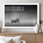 Elephant and Zebra Wall Art Canvas Print, Modern Artwork