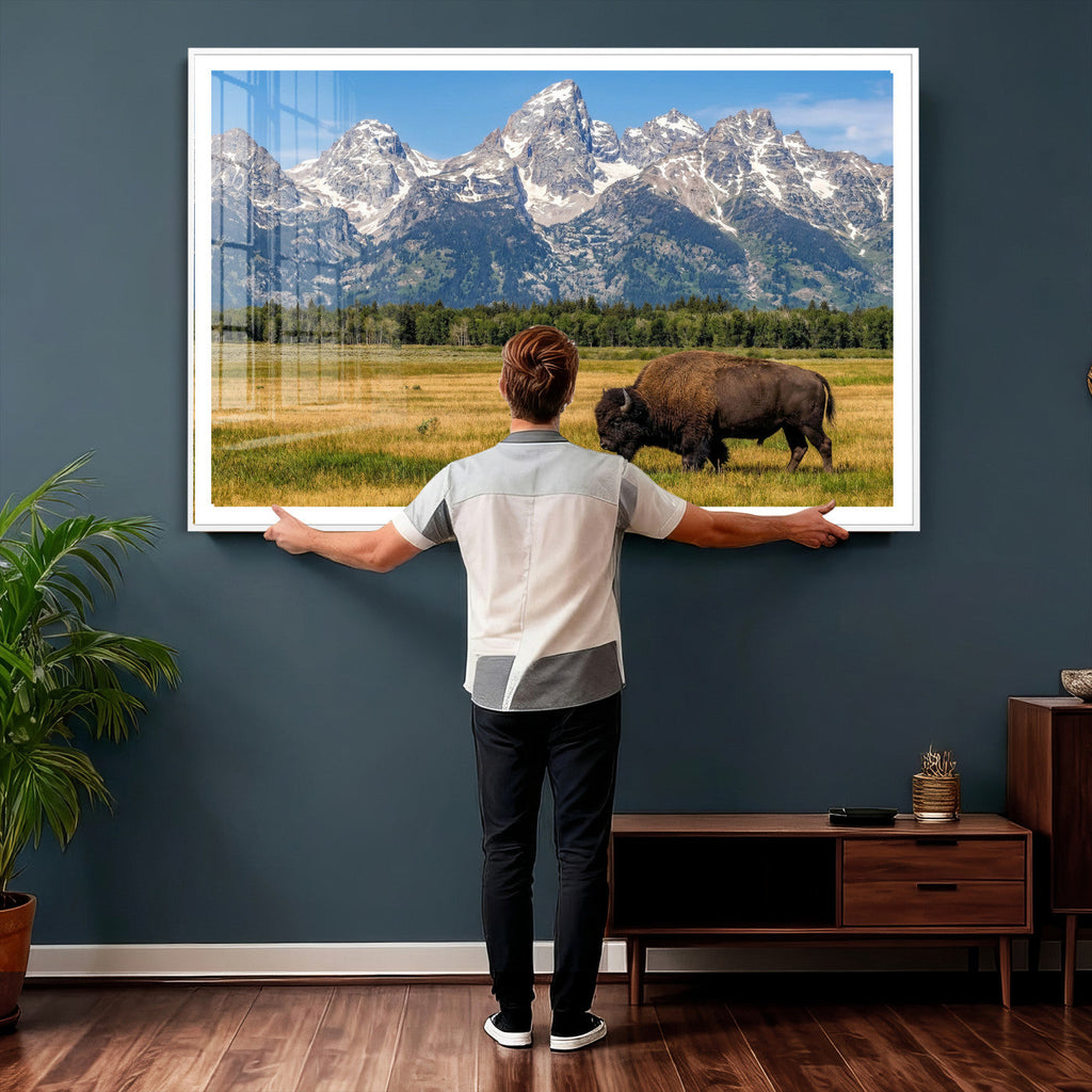 Bison in Mountain Landscape Wall Art Canvas Print, Western Decor