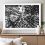 Trees Contemporary Art Canvas Print