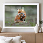 Heartwarming Fox and Baby Cub Wall Art | Canvas Print of Foxes in Nature