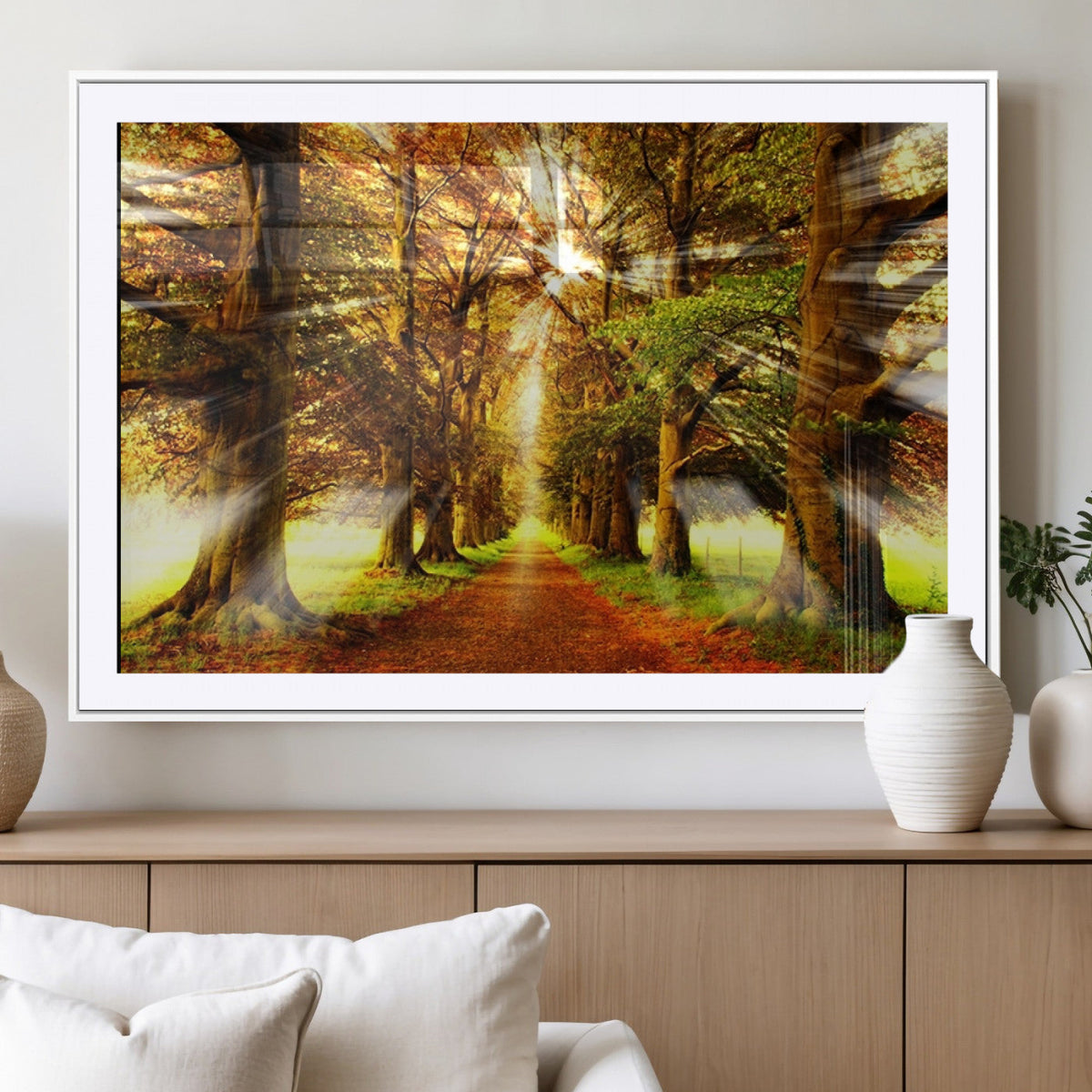 Sunshine in Forest and Trees Wall Art Canvas Print