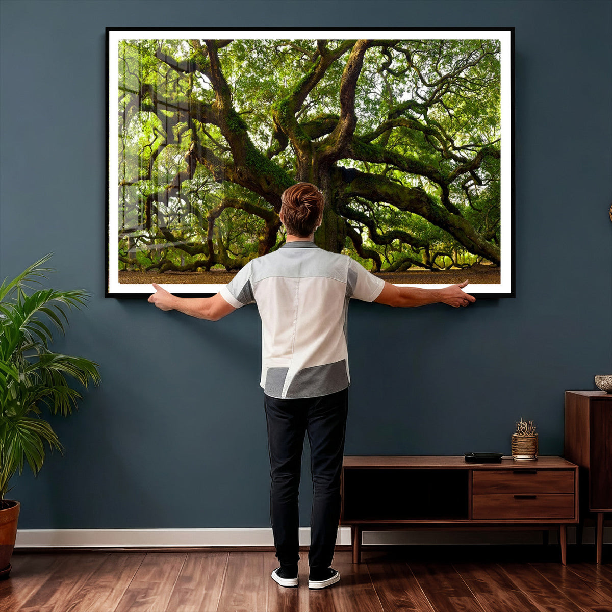 Angel Oak Tree Wall Art Canvas Print | Forest Tree Nature Photography Print