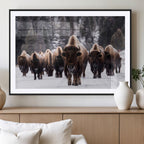 Bison Wall Art Canvas Print, Bison Herd Canvas Wall Art