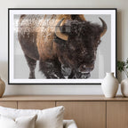 Bison Wall Art Canvas Print For Farmhouse, Wild Animal Wall Art