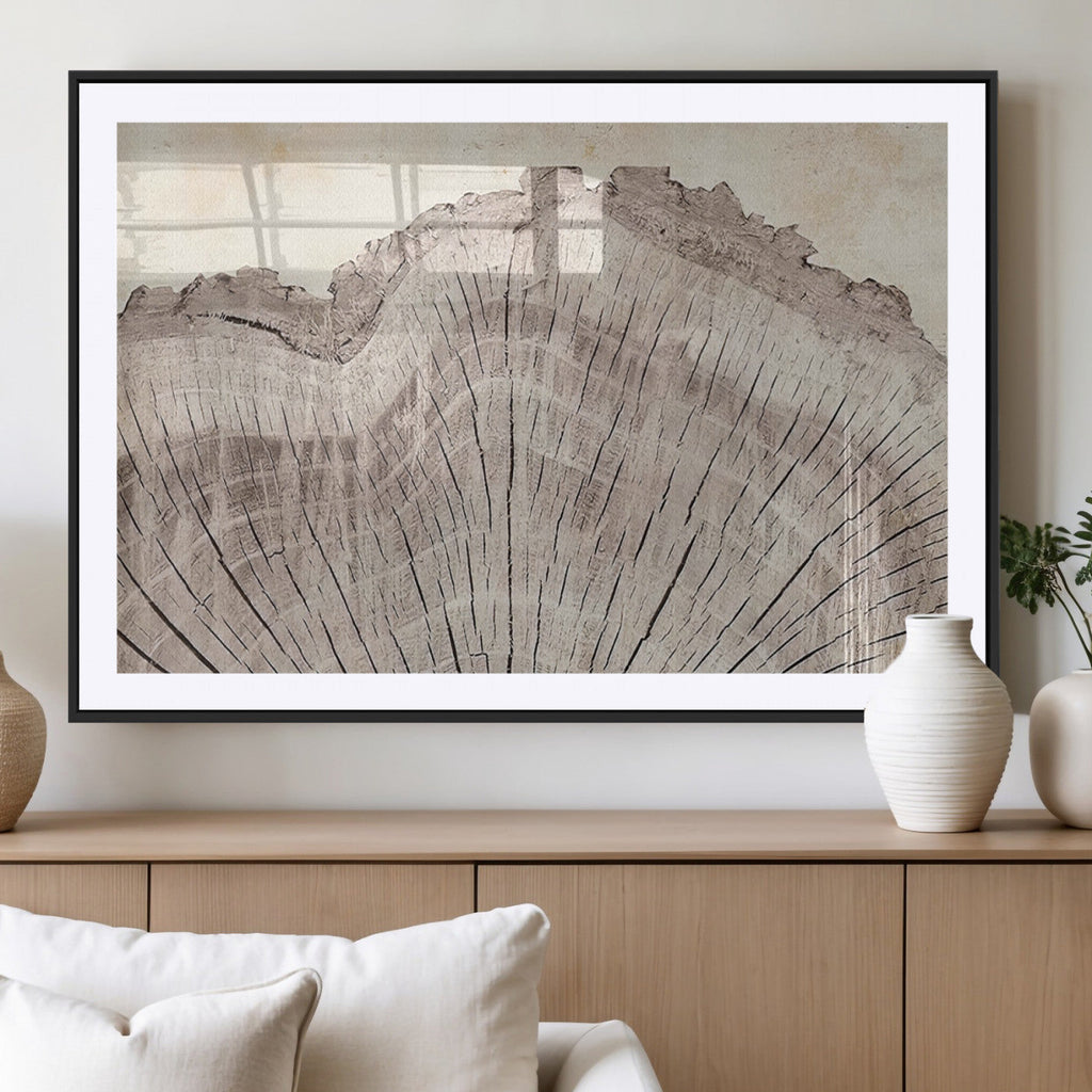 Tree Ring Wall Art Triptych, Rustic Wood Ring Canvas Print