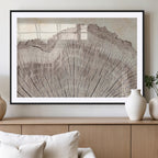Tree Ring Wall Art Triptych, Rustic Wood Ring Canvas Print