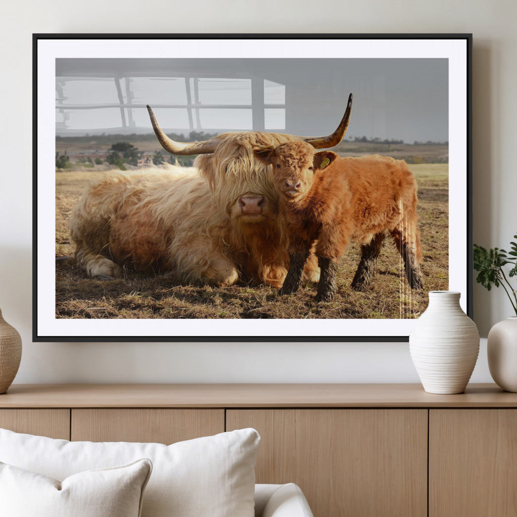 Highland Cow Canvas Wall Art Animal Print for Farm House Decor