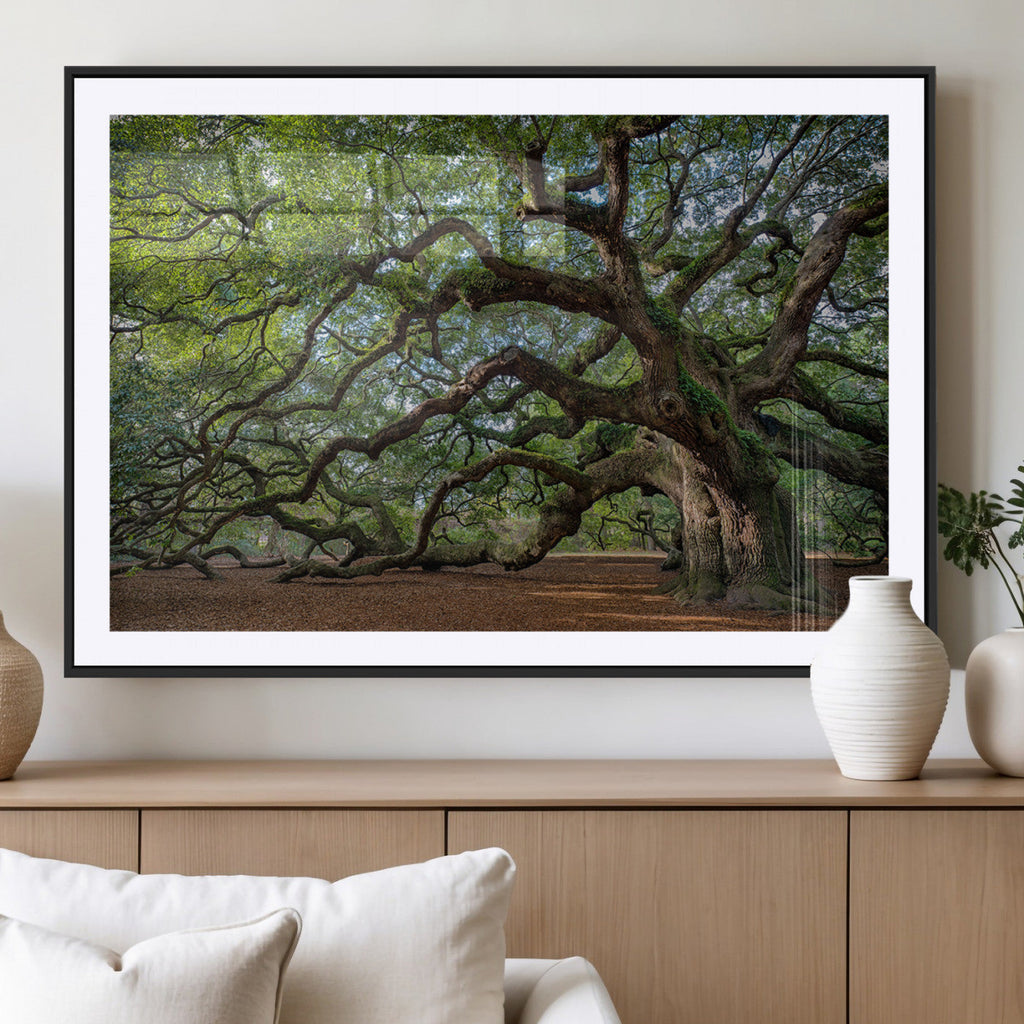 Historic Tree Wall Art | Framed Mossy Branch Canvas Artwork