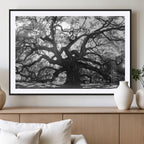 Ancient Oak Wall Art Canvas Print | Gnarled Tree with Twisted Branches